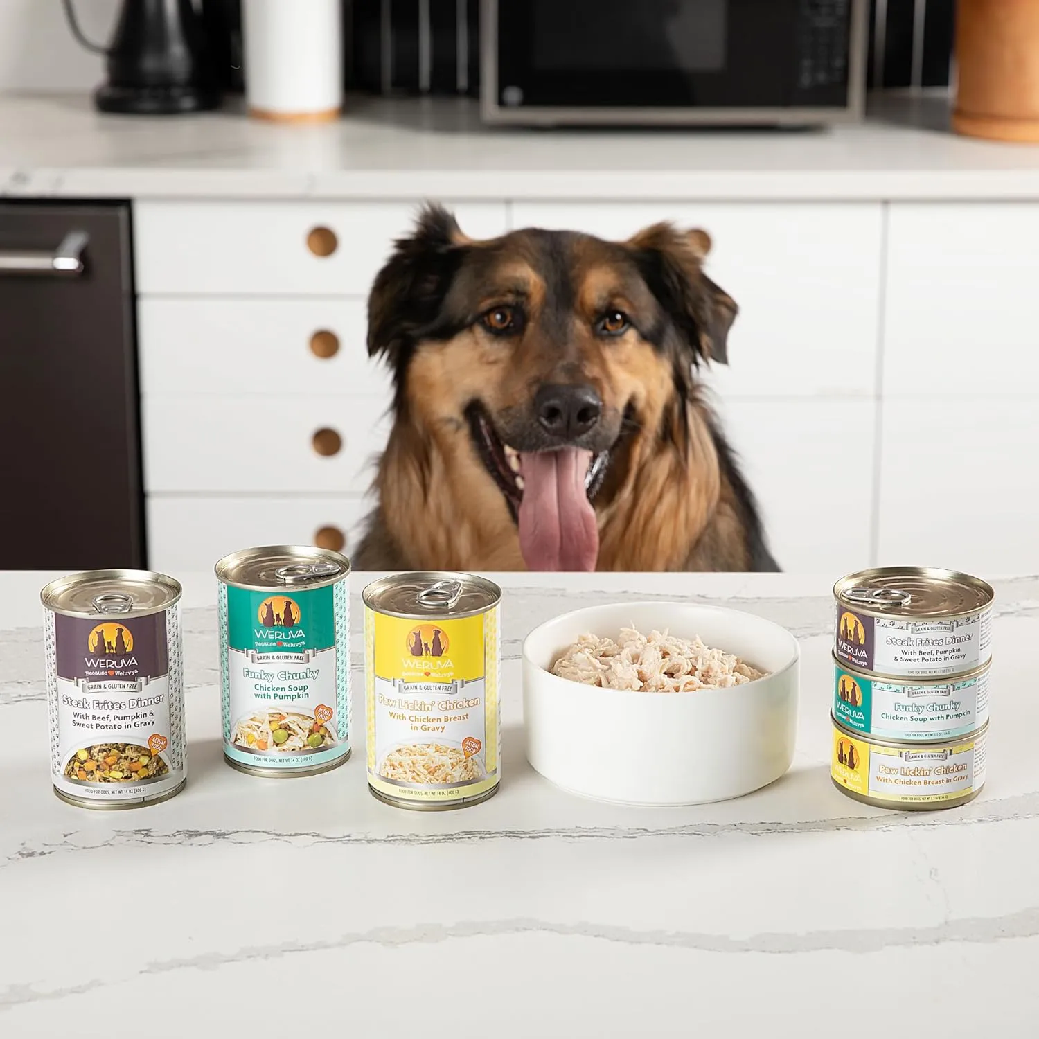 Weruva Classic Dog Food, Marbella Paella with Mackerel & Pumpkin in Aspic, 14oz Can (Pack of 12)