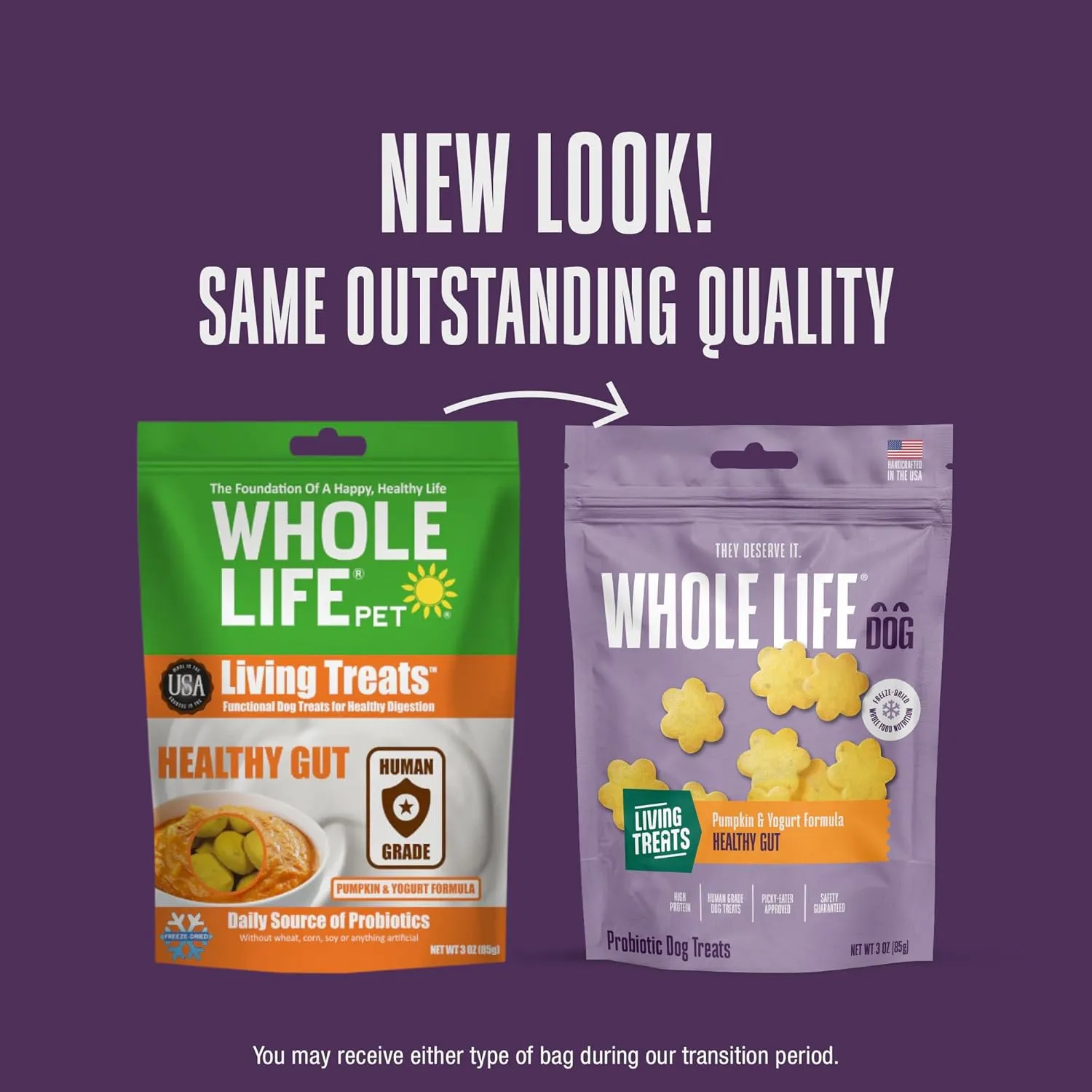 Whole Life Dog Living Treats for Dogs  Human Grade Probiotics for Digestive & Gut Health, Canine Gas, Diarrhea, Vomit & Constipation Relief - Pumpkin, 12 oz (Pack of 1)