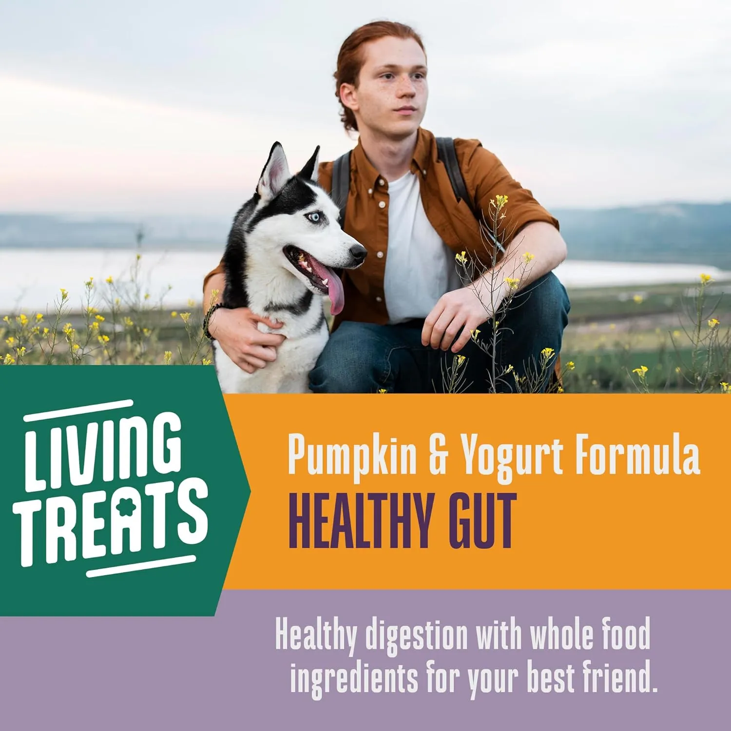 Whole Life Dog Living Treats for Dogs  Human Grade Probiotics for Digestive & Gut Health, Canine Gas, Diarrhea, Vomit & Constipation Relief - Pumpkin, 12 oz (Pack of 1)