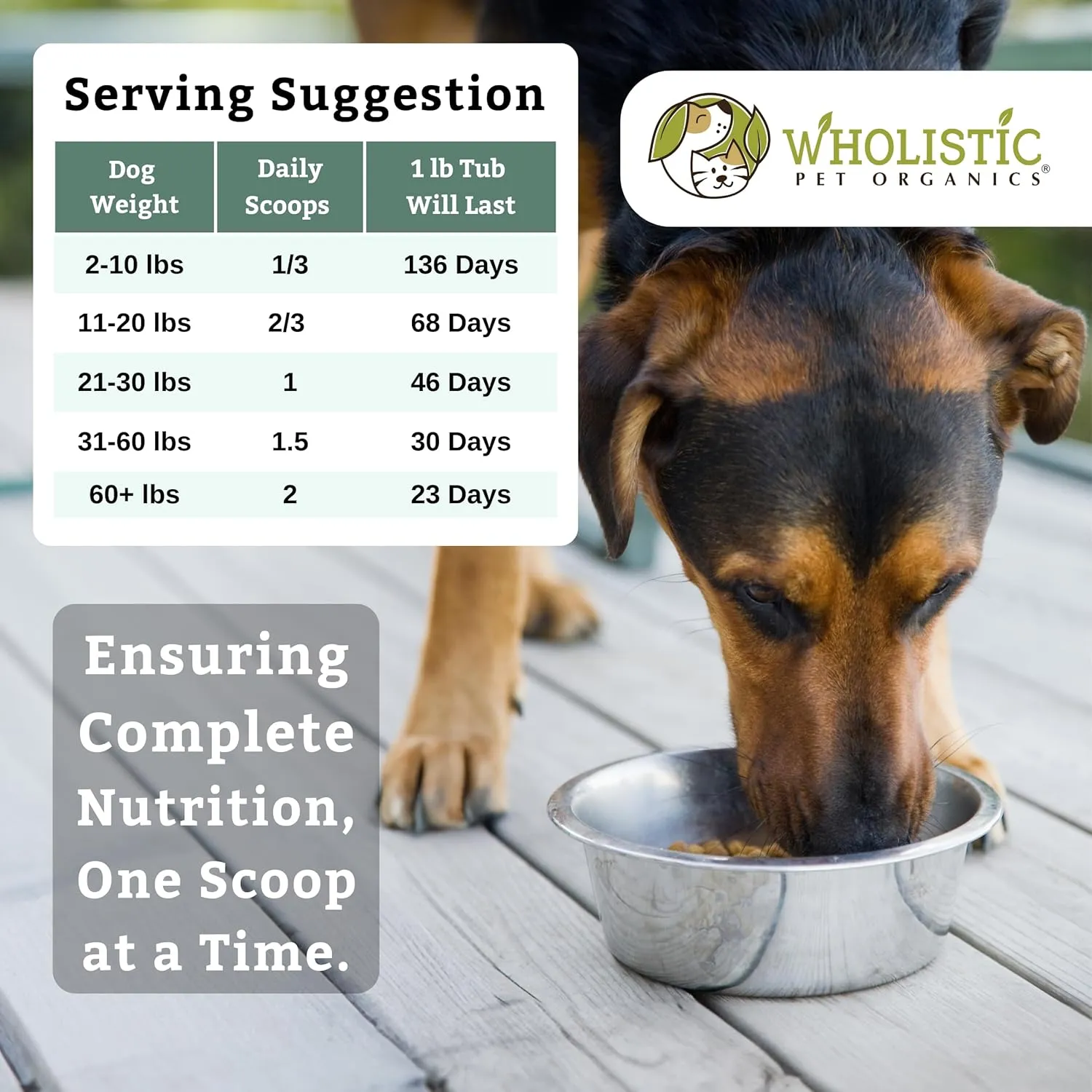 Wholistic Pet Organics Canine Complete Dog Multivitamin - 1 Lb - Nutrient-Rich Multi-Vitamins and Supplements - Whole-Food Powder for Immune System, Skin, Coat & Overall Health