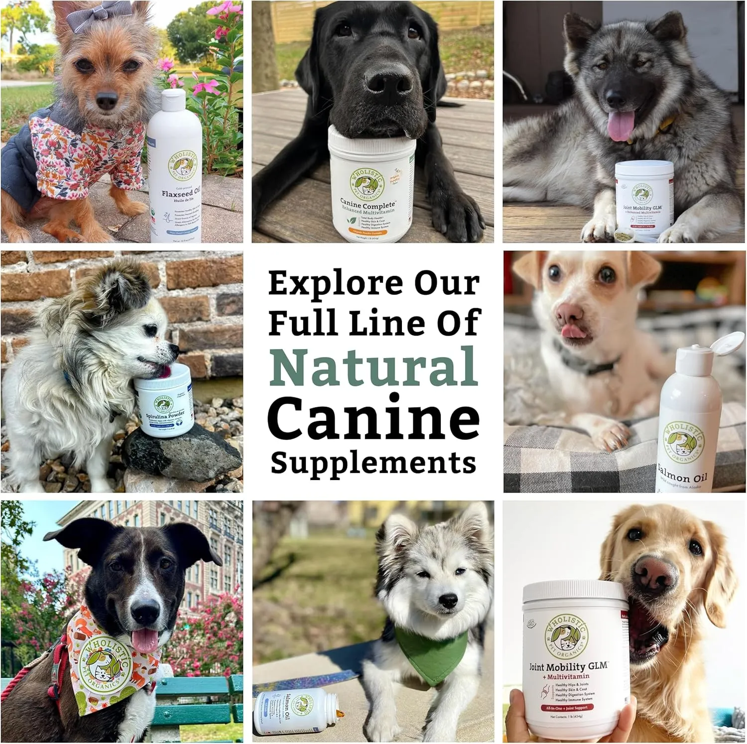 Wholistic Pet Organics Canine Complete Dog Multivitamin - 1 Lb - Nutrient-Rich Multi-Vitamins and Supplements - Whole-Food Powder for Immune System, Skin, Coat & Overall Health