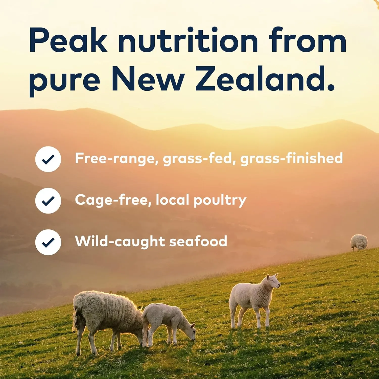 ZIWI Peak Air-Dried Dog Food  Lamb - All Natural, High Protein, Grain Free, Limited Ingredient w/ Superfoods (35.2oz)